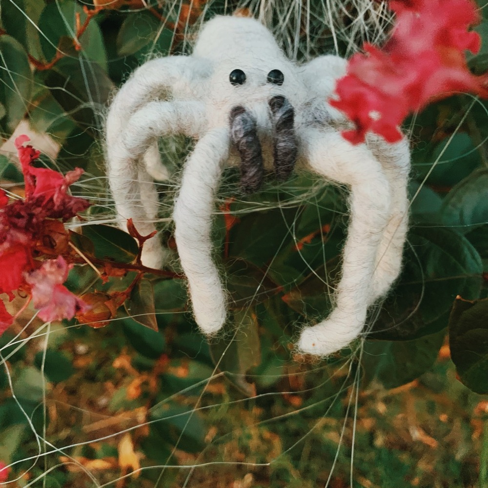 Spider
